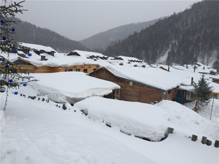 原來(lái)河南大雪過(guò)后這么美